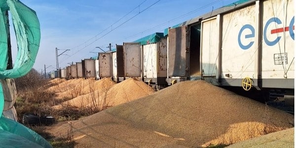 Polish strikers have already damaged 4 trains with Ukrainian grain, but the Polish authorities do not react to this