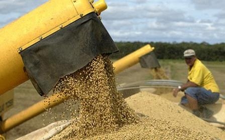 Сокращение урожая сои в Аргентине поддерживает цену украинской сои