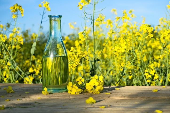 Purchase prices for rapeseed are rising in Ukraine
