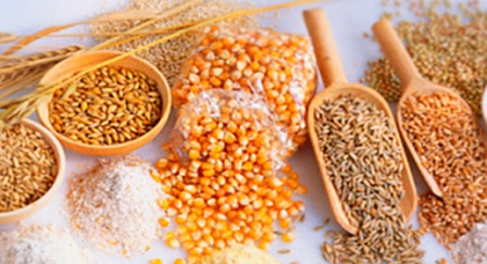 In Ukraine, the ongoing reduction in purchasing prices for grains and oilseeds 