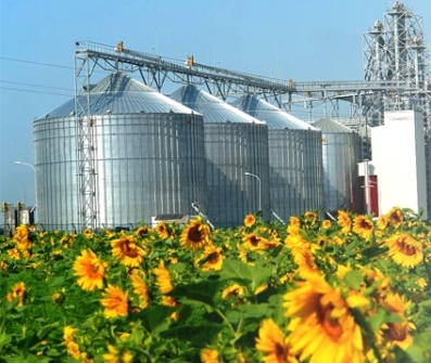 The decrease of the production forecast of sunflower seed in Ukraine will support prices