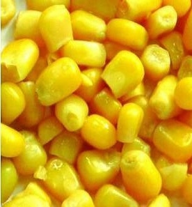 The increase in forecast production and residues of maize in USA lowers rates