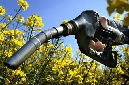 USA and Finland to increase the production and consumption of biofuels