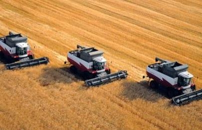 On November 1, Ukraine harvested nearly 55 million tons of grain
