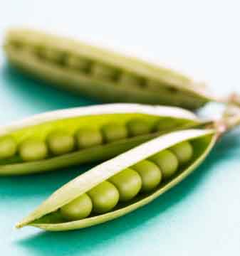 India's changing market trends legumes