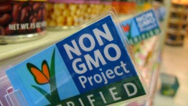 In the United States presented a report on the safety of GMOs