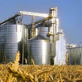 Запасы зерновых и подсолнечника в Украине на 1 декабря составляли более 28 млн. тон