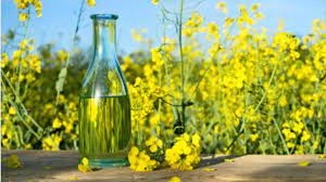Low prices for rapeseed oil contribute to the growth of global demand