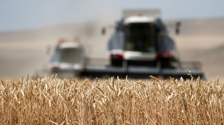 Цены на пшеницу в ожидании результатов тендера в Саудовской Аравии