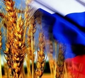 Прогноз производства зерна в России в 2020 г. снова увеличен