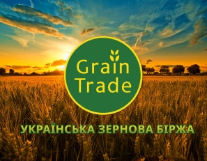 Purchase prices for grains in Ukraine on January 29, 2024