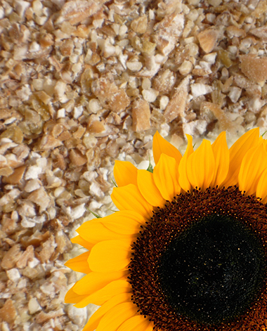 Ukraine set a record for exports of sunflower meal