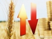 Европейская пшеница давит на чикагскую биржу 