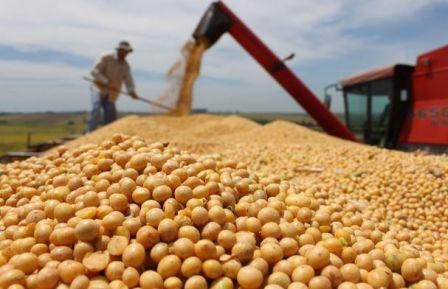 IGC has increased the estimate for world soybean crop in season 2016/17 MG