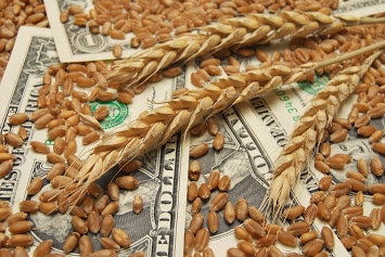 The fall Chicago wheat was the strongest in a month