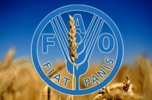 The Ministry of agrarian policy signed with FAO a cooperation agreement