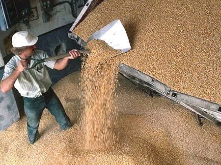 За сезон 2014/15 МР Україна експортувала 33,333 млн. тон зернових