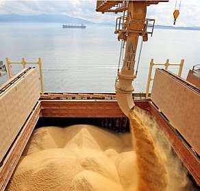 Ukraine intensifies export of grain Russia is not yet possible
