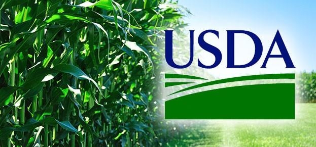 Звіт USDA підвищив котирування американської пшениці