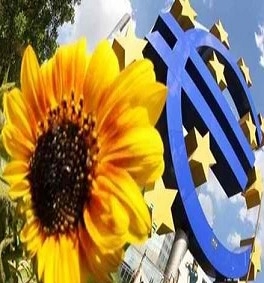 The EU sharply increased its imports of sunflower oil
