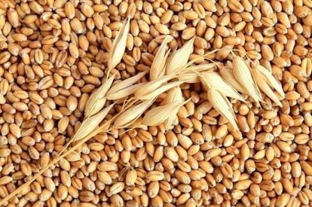 On world markets, wheat prices turned down