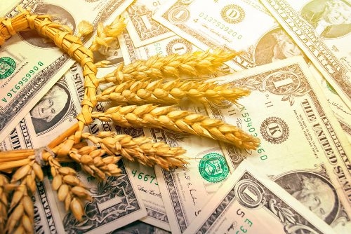Цены на пшеницу в Украине резко снижаются вслед за биржевыми