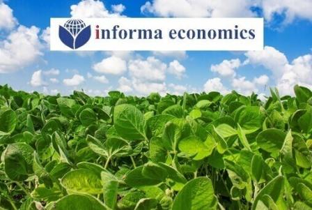 Informa increased its estimate of the corn crop in the United States