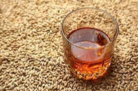 There will be enough malting barley for beer and whiskey production, even with a reduced crop in FY2023/24