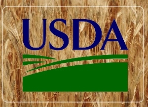 The USDA report was supported by the wheat exchange