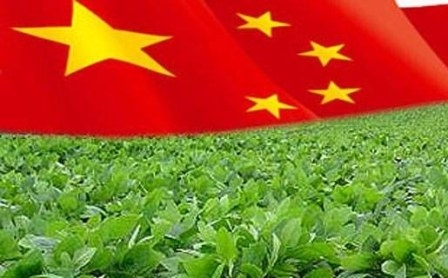 The increase in imports of soybean in China supported the market