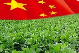 China increases imports of soybeans, and food oils