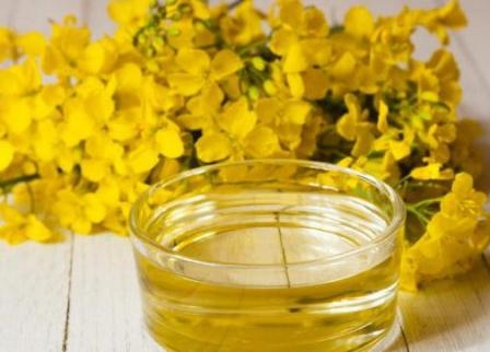 The rise in price of vegetable oils has led to higher prices for canola
