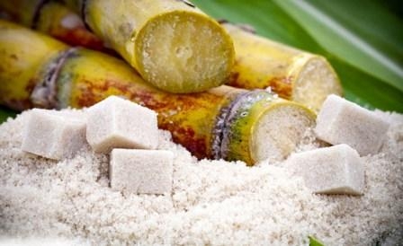 The world price for sugar in 2017 will fall by 7.1%