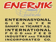 Enerjik International