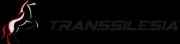 Transsilesia LLC