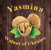 LLC Yasmina Company