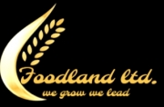 Foodland Corporation Limited