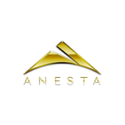Anesta LLC