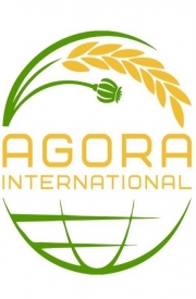 Agora International