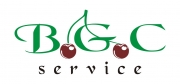 BGC SERVICE