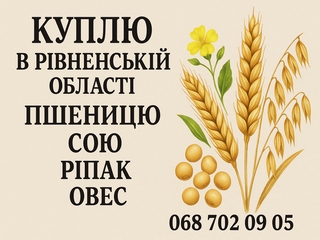 Куплю в рівненській області пшеницю, сою, ріпак, овес