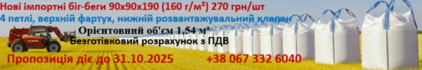 Біг беги