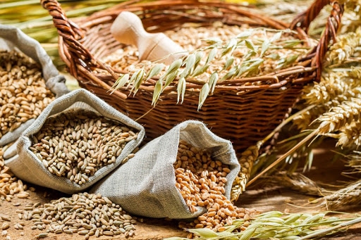 Overview of the Ukrainian grain market from SPIKE BROKERS