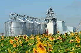 ЄС у 2024/25 МР скоротив закупівлі всіх основних рослинних олій
