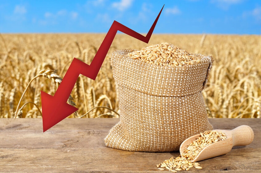 Wheat prices dropped by another 2-3.4% due to accelerated harvesting in the USA