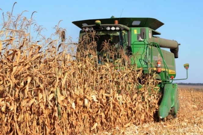 Фермери США шукають спосіб зменшити втрати від падіння цін на кукурудзу