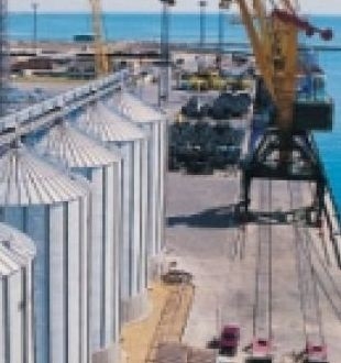 Уповільнення експорту призвело до перезавантаження терміналів соняшниковою олією