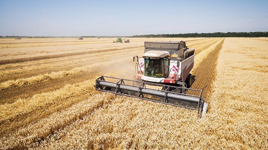In Ukraine, the harvest of major crops is lower than last year, in Russia – the highest