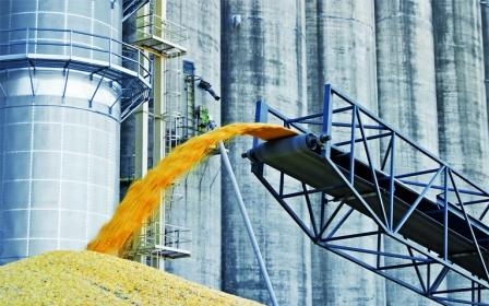 Despite the large crop, the pace of grain exports remain low