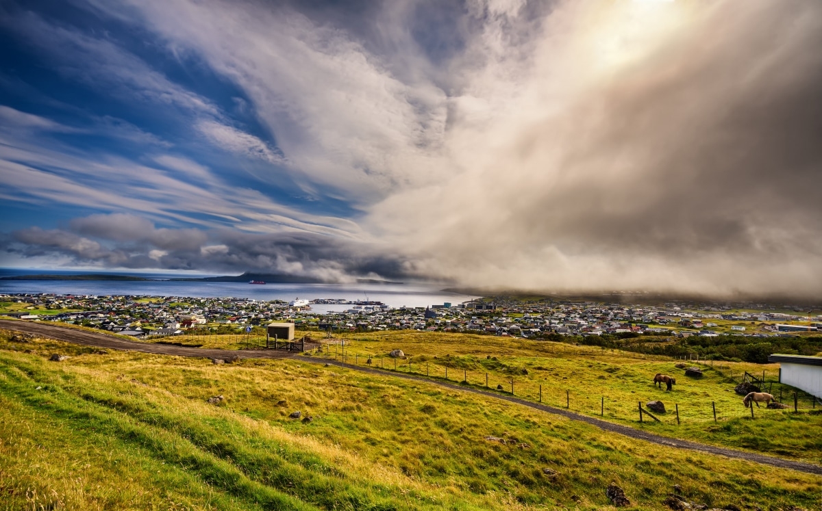 Гарні опади в Бразилії та суха погода в Аргентині будуть основними чинниками впливу на ціни в найближчі тижні 